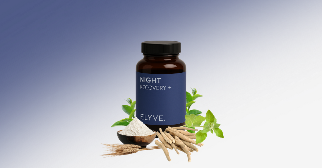 Produktbild NIGHT Recovery+ mit Grünteeextrakt, Ashwaganda, Getreide aus denen die Rohstoffe gewonnen werden