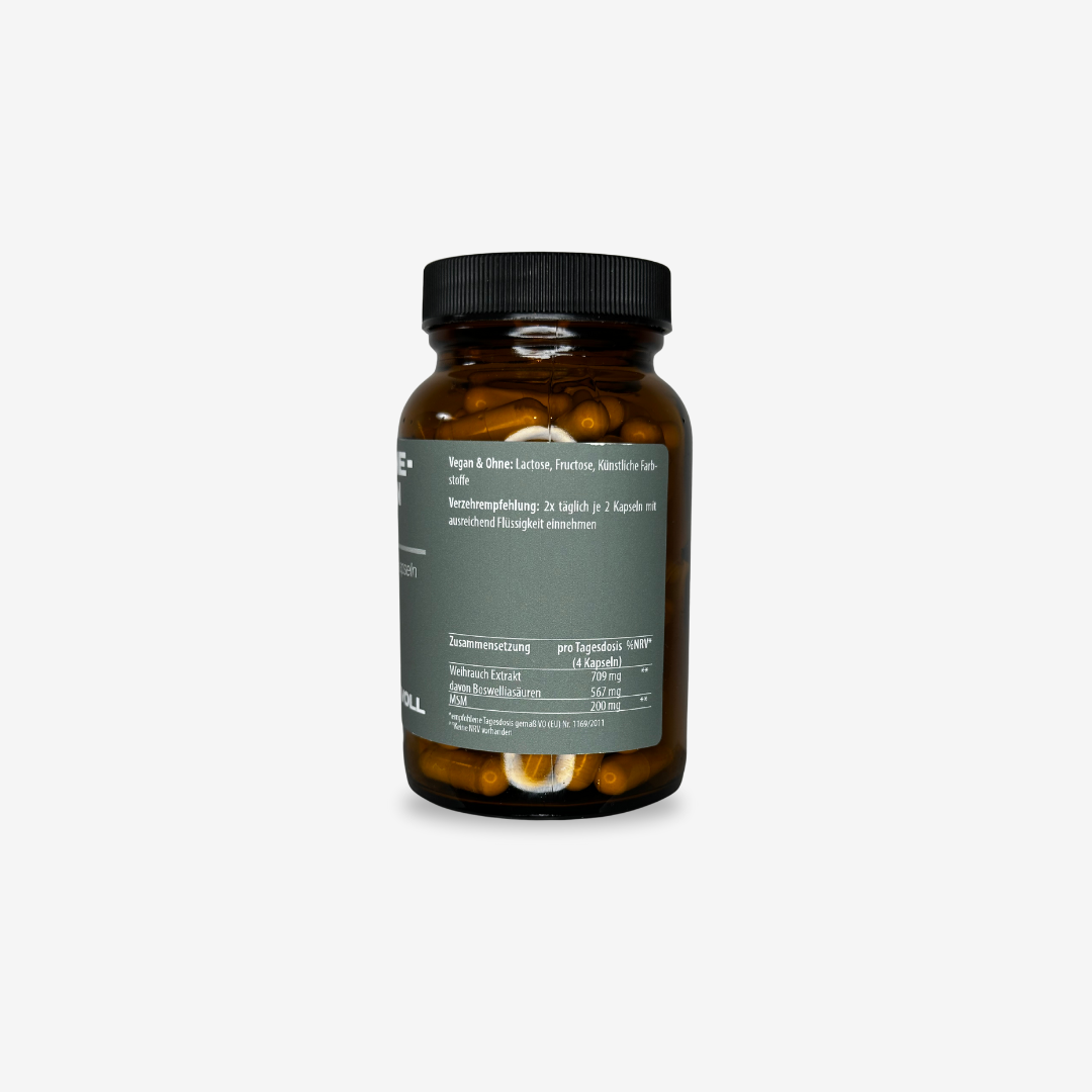 Recovery Bundle