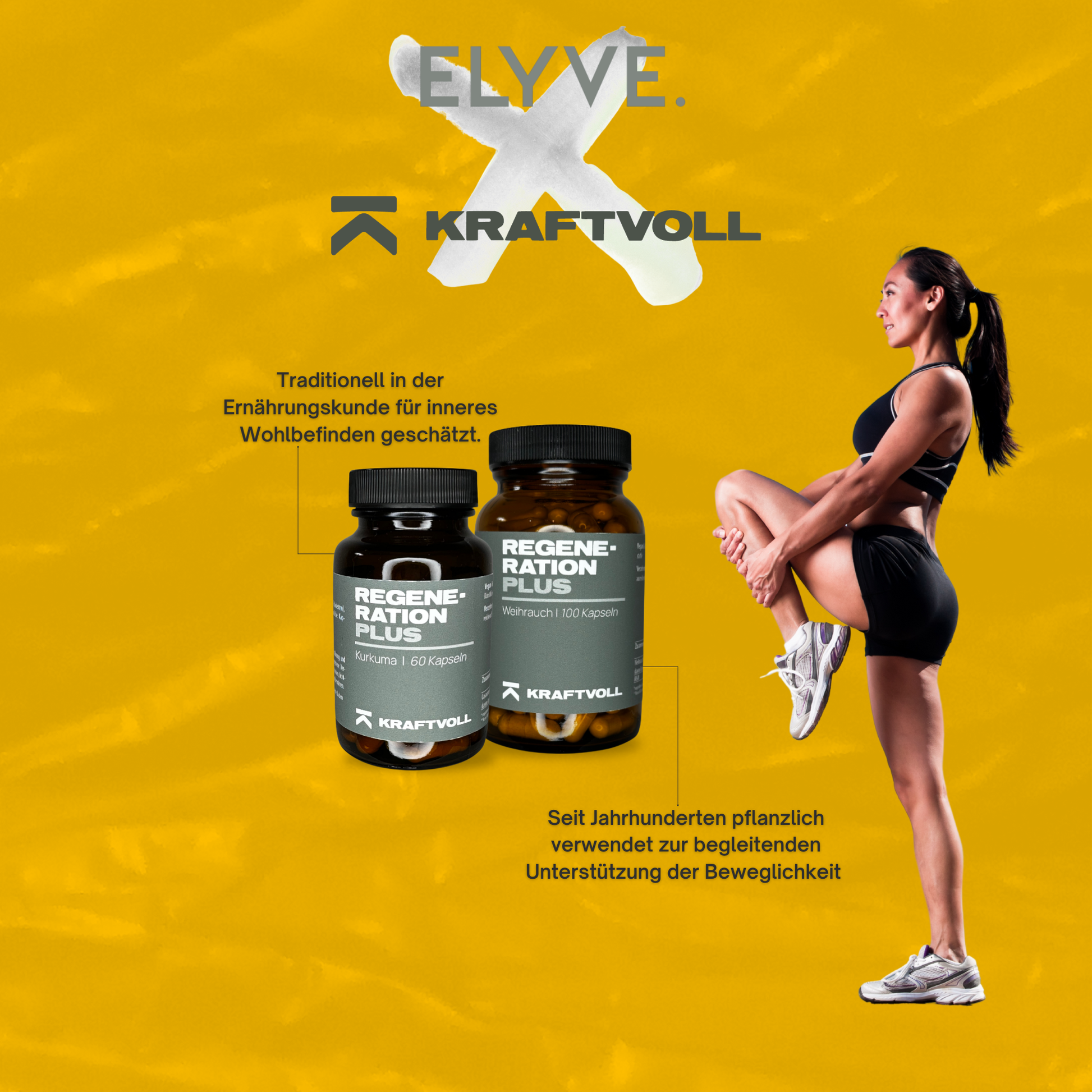 Recovery Bundle